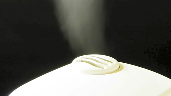 Facial steamers vs. steam baths: Which is better?