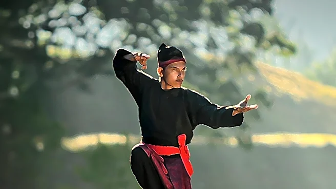 Kung Fu and Capoeira Moves Keep Forgotten Cultures Alive