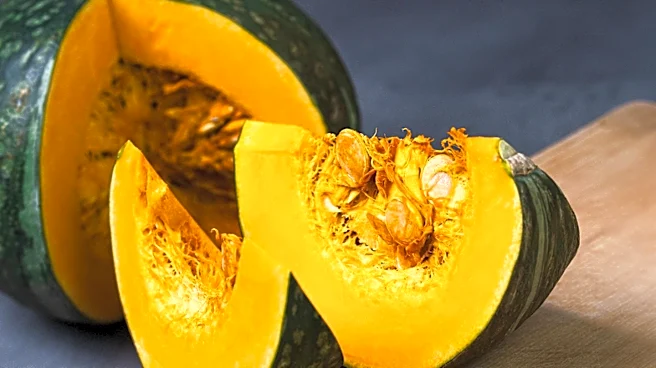More Than a Fall Decoration: The Many Uses of Pumpkins
