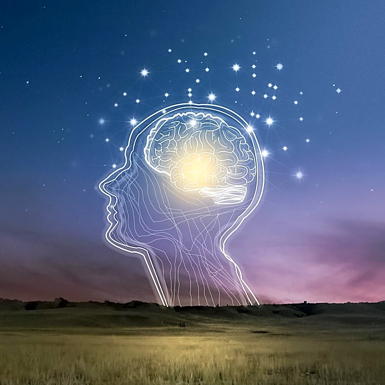 How does Addiction Reshape the Brain