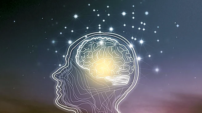 How does Addiction Reshape the Brain