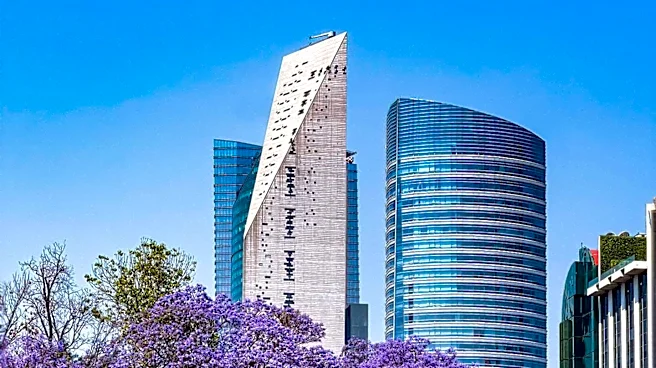 How does Pretoria's Jacarandas Define Its Identity