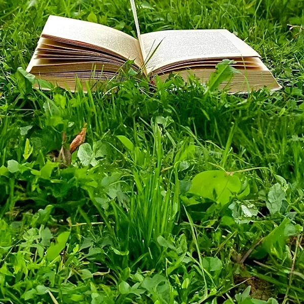 How Leaves of Grass Redefined American Poetry