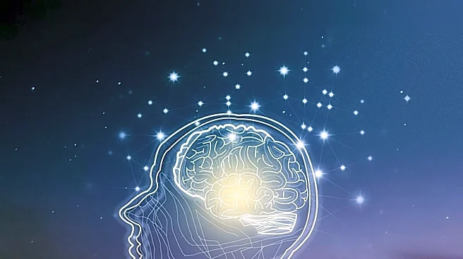 How does the Brain Function as a Computer