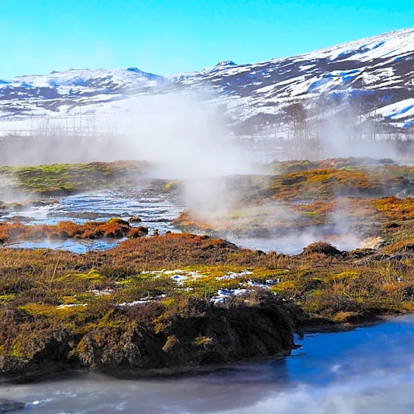How does Mountain Climates Shape Ecosystems