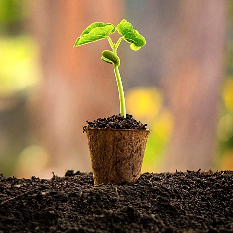 What makes PHAs a New Vital Path for Biodegradable Plastic