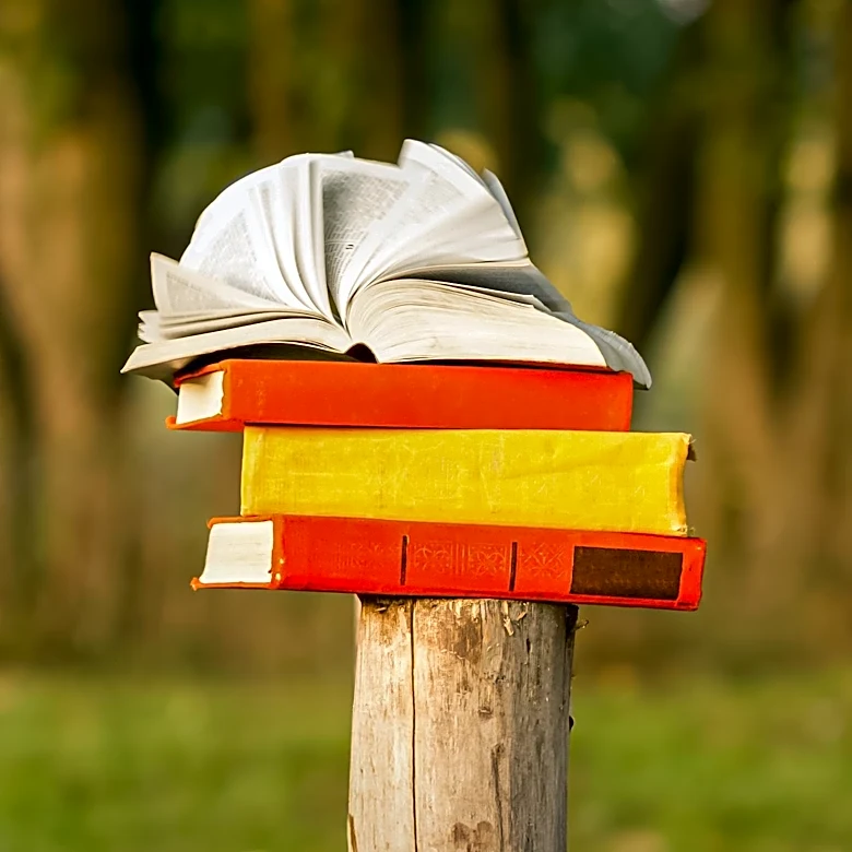 The Zoning Battles Behind Little Free Libraries