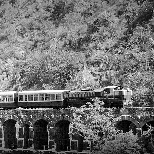 Why the Grand Trunk Railway Became a Transportation Giant