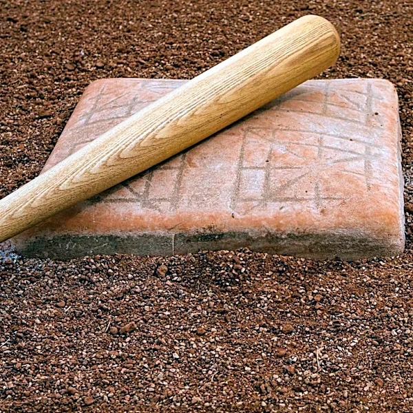 How Ty Cobb Reinvented His Career After Leaving Detroit