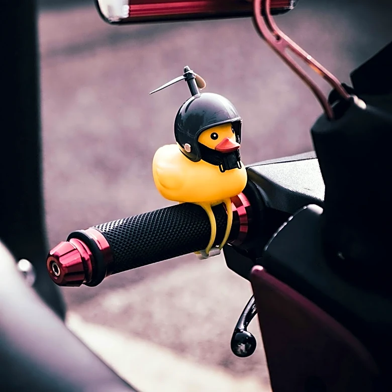 Inside the Rise and Fall of Ride the Ducks