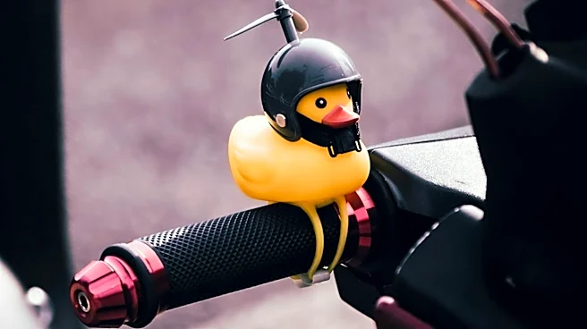 Inside the Rise and Fall of Ride the Ducks