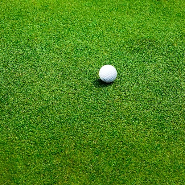 How Stewart Cink Prevailed at Turnberry's Toughest Test