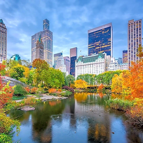 The Surprising Wildlife Flourishing Inside Central Park