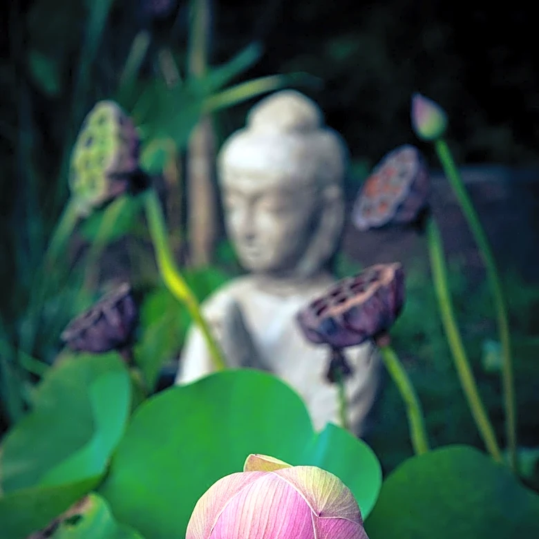 Why Compassion Is Central to Buddhist Teachings