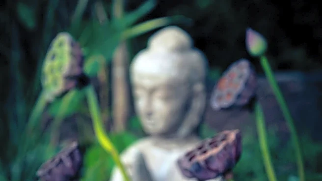 Why Compassion Is Central to Buddhist Teachings