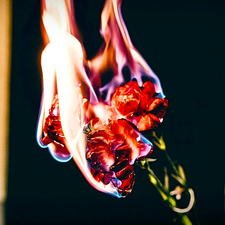 How Book Burning Has Been Used to Silence Ideas