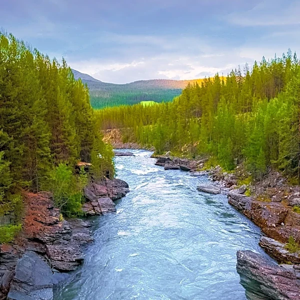 Today Marks the Creation of the River of No Return Wilderness