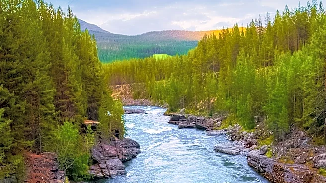 Today Marks the Creation of the River of No Return Wilderness