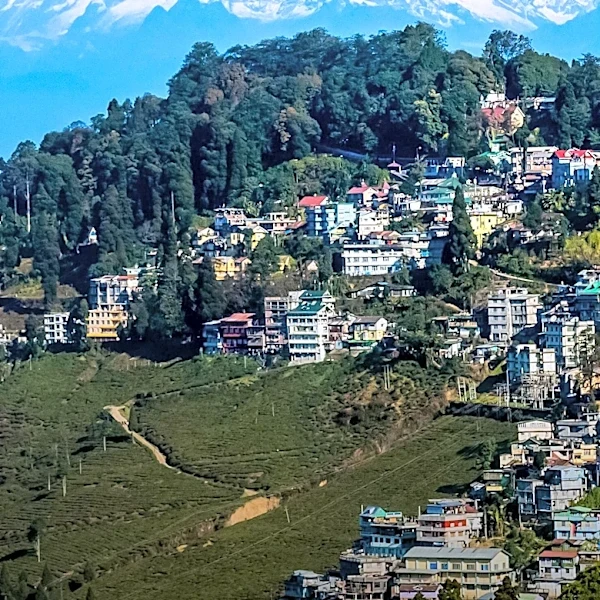 How Nepal's Population Evolved Over the Last Century