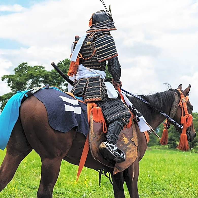 How did Militias aid Ticonderoga Victory