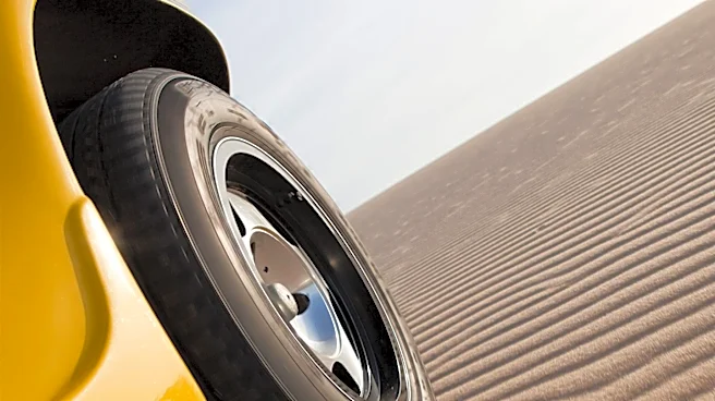 The Rise of the Baja Bug Racing Icon Explored