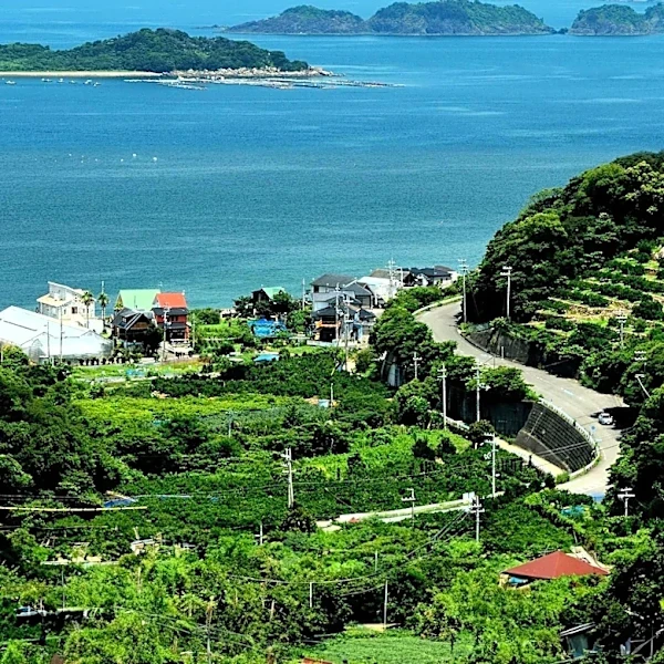 From Mount Fuji to 14,000 Islands: Exploring Japan's Geography