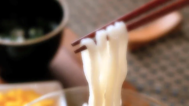 Why Udon Is More Than Just a Japanese Noodle Dish