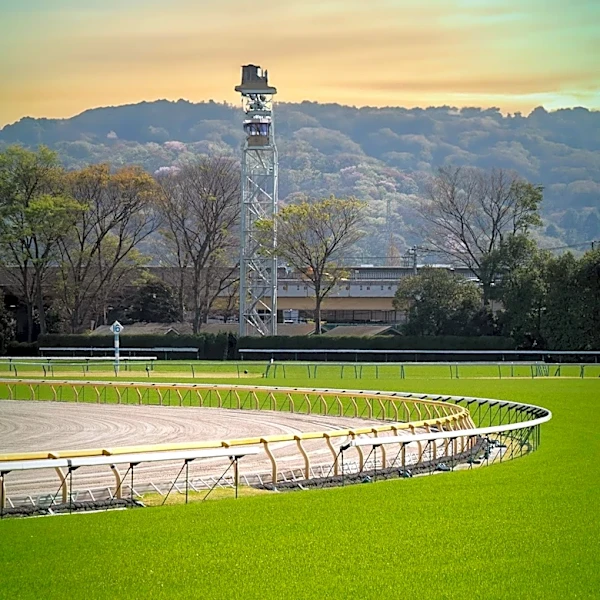 How Fair Hill Became One of America's Premier Horse Racing Facilities