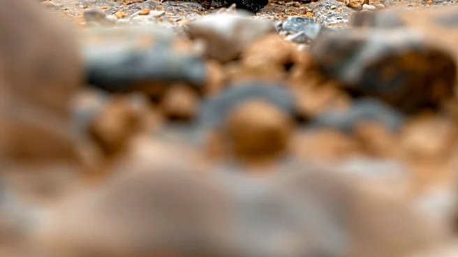 How to Build a Rock Crawling Vehicle