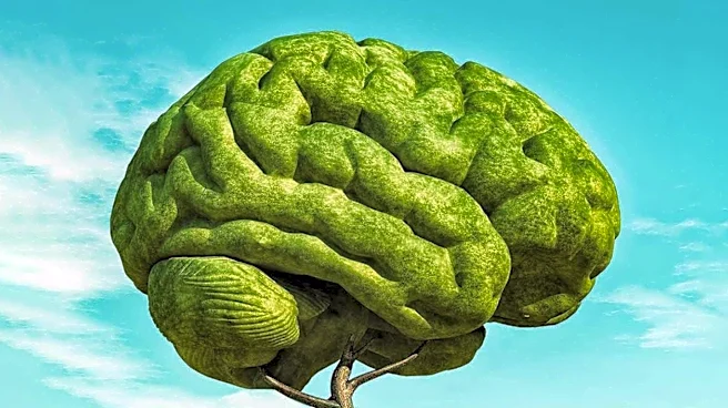 Why Your Mind Wanders and What It Means