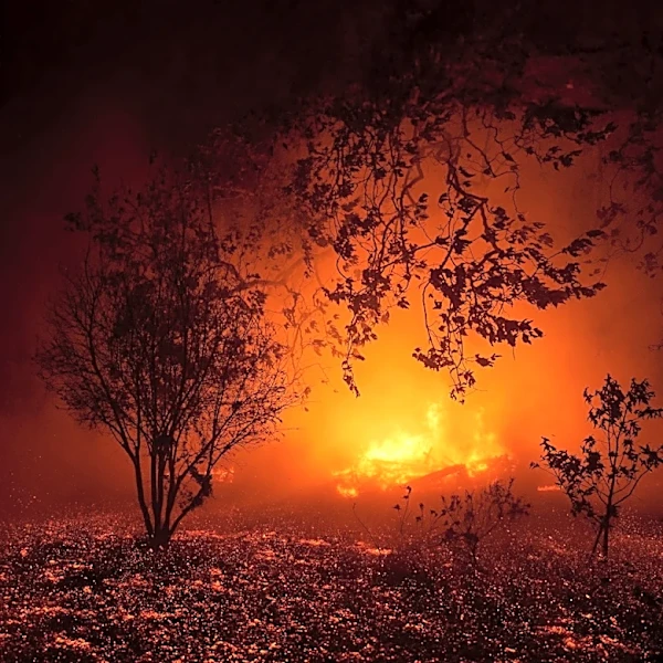 How the McKinney Fire Became California's Deadliest Wildfire of 2022