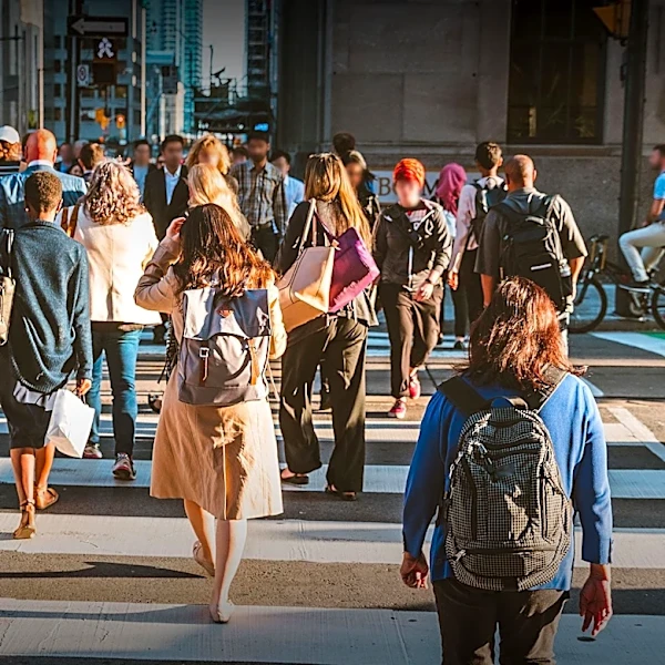 How the U.S. Census Impacts Representation, Funding, and Daily Life