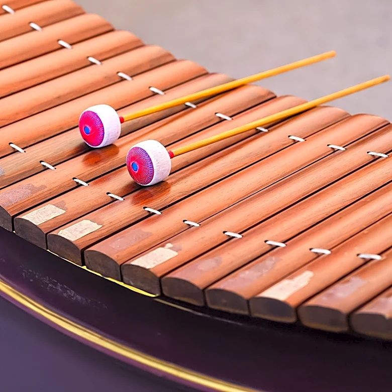 How do Resonators Work and What are their Uses