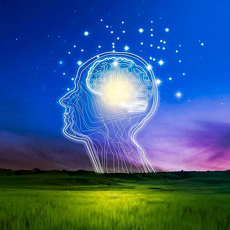 What Body Awareness Can Teach Us About the Self