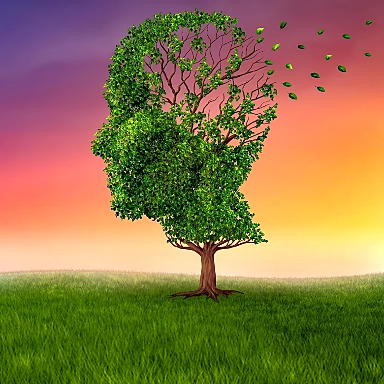 Why Memories Aren't as Accurate as You Think