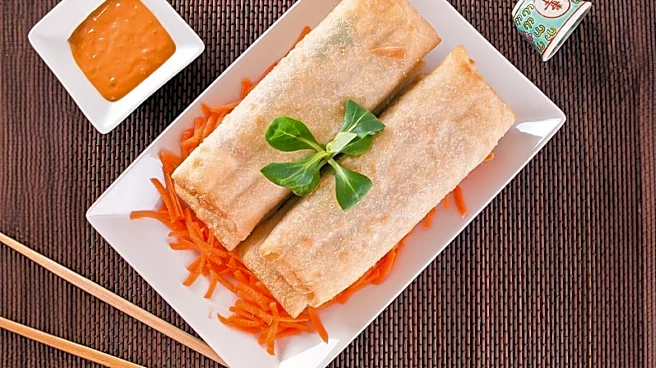 Crispy, Fresh, and Filled: Spring Rolls Across Asia