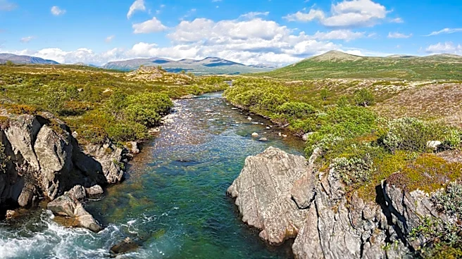 The Themes That Make Green River Timeless