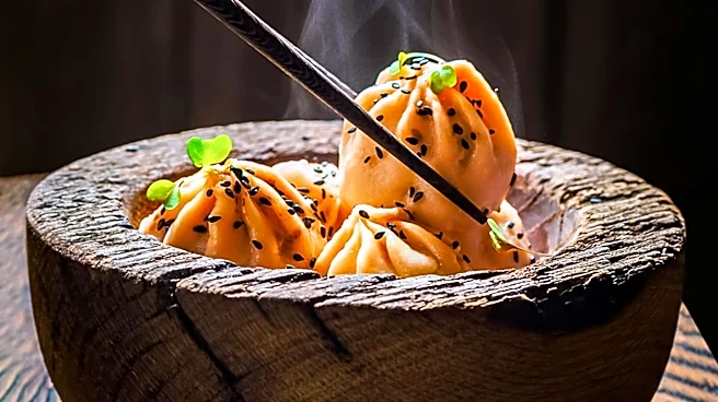 The Global Rise of Cantonese Cuisine Explained