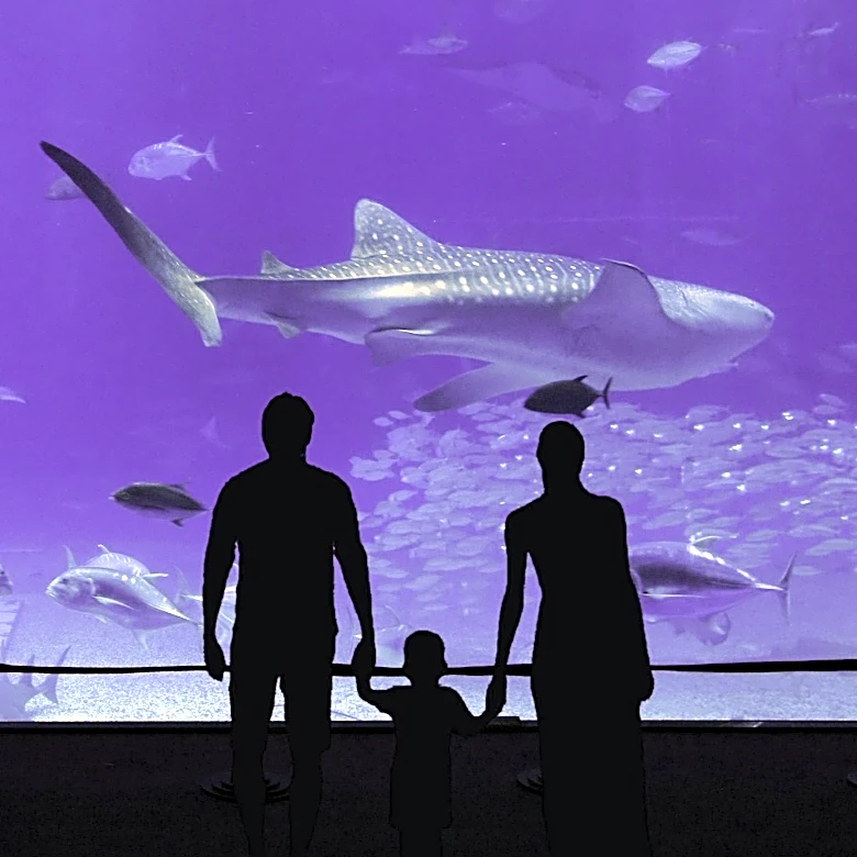 Why Shark Tank Has Stayed Relevant Since 2009
