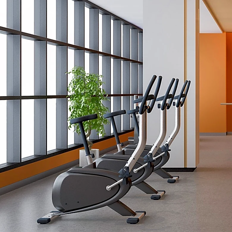 How Gyms Became a Key Part of Education