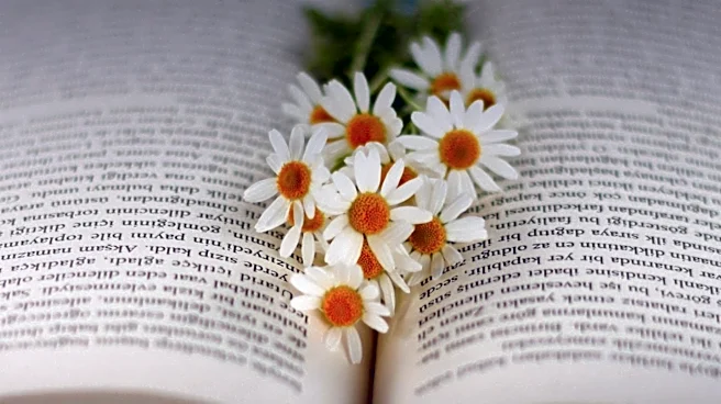 How did DAISY Improve Reading for Print Disabilities