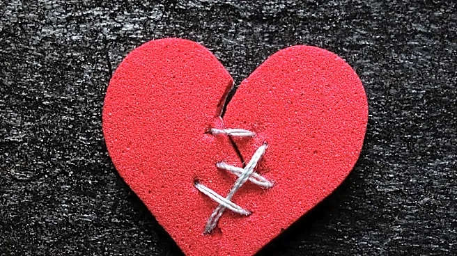 The Various Couples Therapy Models Explored