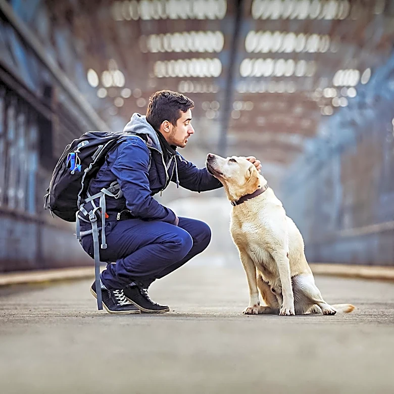 Animal Welfare Frameworks Explained