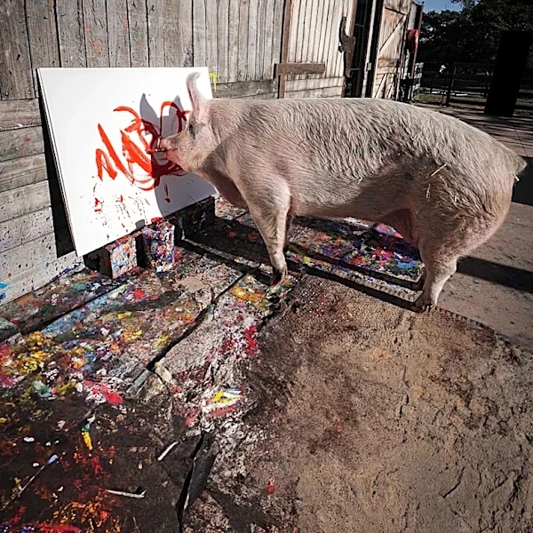 How Does Activism Drive Animal Rights