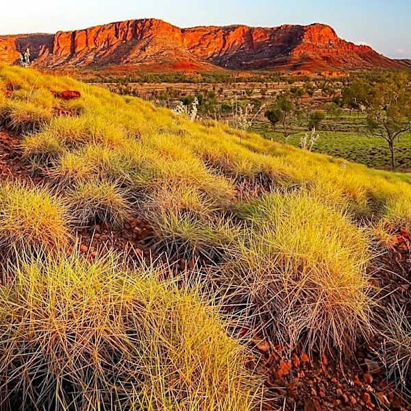Why Uluru-Kata Tjuta Is More Than a National Park