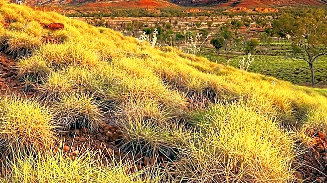 Why Uluru-Kata Tjuta Is More Than a National Park