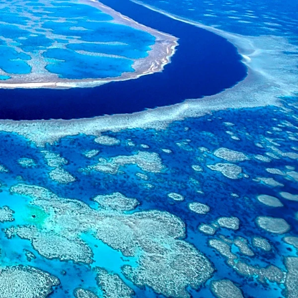 How Big Is the Great Barrier Reef?