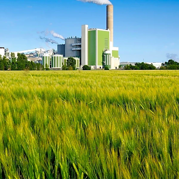 Inside the Microbial Chain That Turns Organic Matter Into Methane