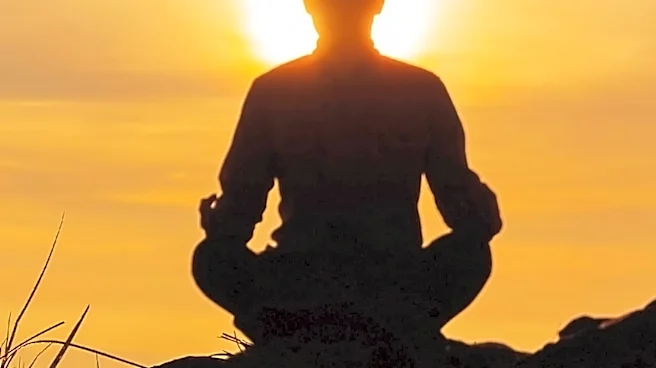 What makes Advaita Vedanta a Path to Liberation