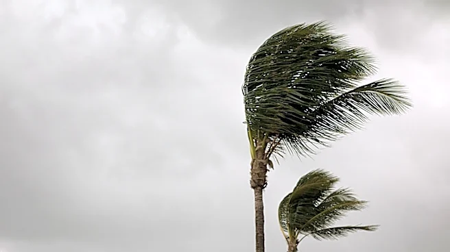 On This Day: Hurricane Harvey Slammed Texas as a Category 4 Storm